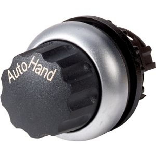 M22-WR-X91 Changeover switch, RMQ-Titan, With rotary head, maintained, 2 positions, inscribed, Bezel: titanium, AUTO HAND image 8
