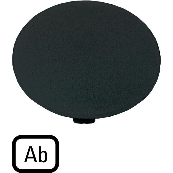 M22-XDP-S-D4 Button plate, mushroom black, AB image 4