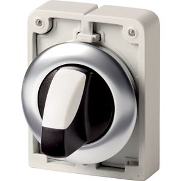 M30I-FWKV Changeover switch, RMQ-Titan, with thumb-grip, maintained, 2 positions (V position), Front ring stainless steel image 4