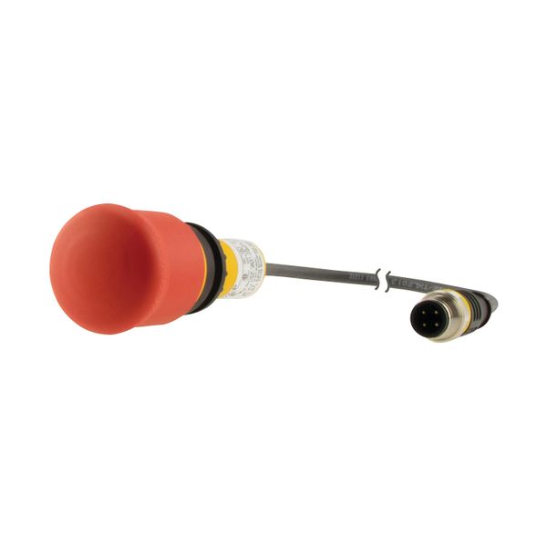 C22-PV-K02-P1 Emergency stop/emergency switching off button, classic, mushroom, 38mm, pull release, 2 N/C, cable (black) with m12a plug, 4p, 0.2m image 1