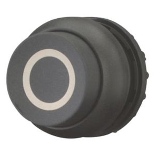 M22S-DRH-S-X0 Pushbutton, RMQ-Titan, Extended, maintained, black, inscribed, Bezel: black image 8