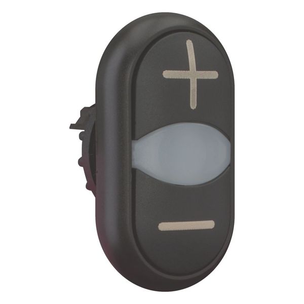 M22S-DDL-S-X4/X5 Double actuator pushbutton, RMQ-Titan, Actuators and indicator lights non-flush, momentary, White lens, black, black, inscribed, Bezel: black image 7