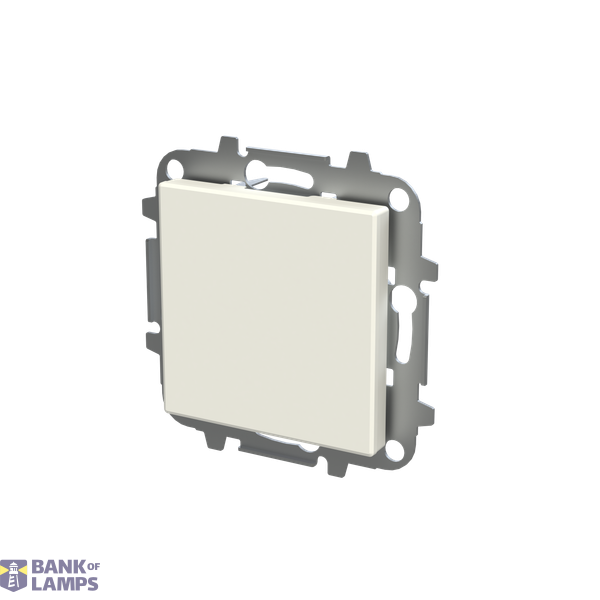 Blank plate image 2