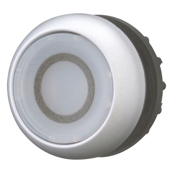 M22-DL-W-X0 Illuminated pushbutton actuator, RMQ-Titan, Flush, momentary, White, inscribed 0, Bezel: titanium image 6