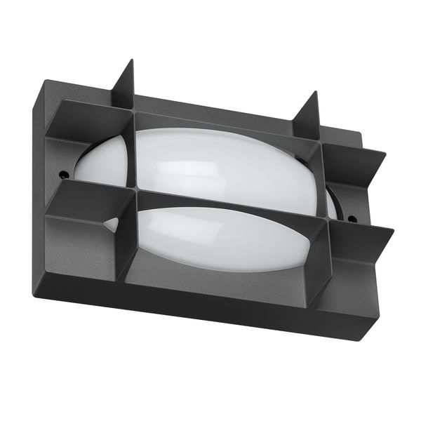 BLIZ OVAL 21 S/EW 830 ANTHRACITE image 1