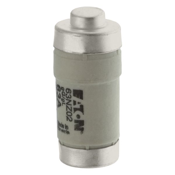 Fuse-link, LV, 63 A, AC 400 V, D02, gL/gG, IEC, time-delay image 11