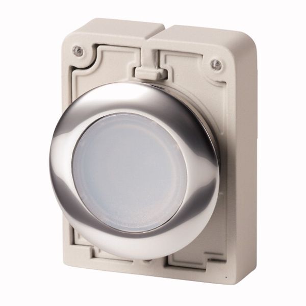 M30C-FDRL-W Illuminated pushbutton actuator, RMQ-Titan, Flat, maintained, White, Blank, Metal bezel image 1