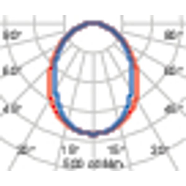 CRICKET+ 10 5 C/EW 927 MARINE SOFT image 6