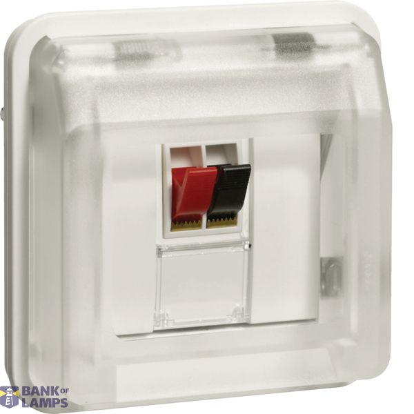 Speaker connection 1-v, W.1, polar white image 1