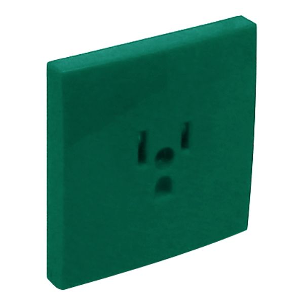 SAF C.PLATE F/EARTH SOCKET (USA NEMA) GREEN image 1