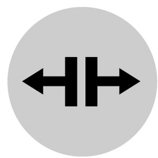 M22-XDL-W-X13 Button lens, flat white, symbol solve image 2