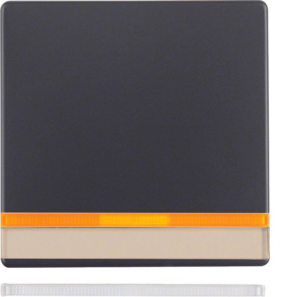 Rocker, lab. field, lens, Q.1/Q.3, ant. velvety, lacq. image 1