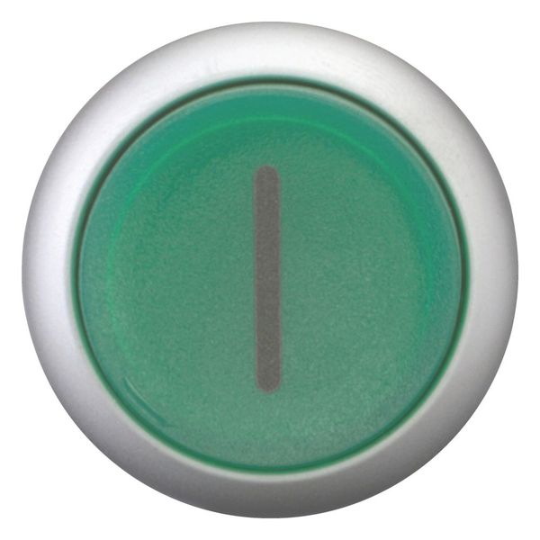 M22-DLH-G-X1 Illuminated pushbutton actuator, RMQ-Titan, Extended, momentary, green, inscribed, Bezel: titanium image 3