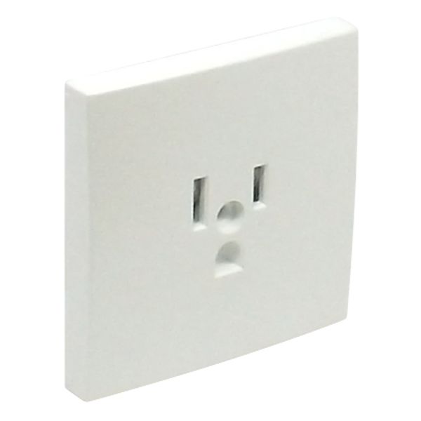 SAF C.PLATE F/EARTH SOCKET (USA NEMA) ICE image 1