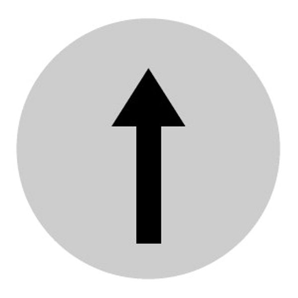 M22-XDL-W-X7 Button lens, flat white, arrow symbol image 1
