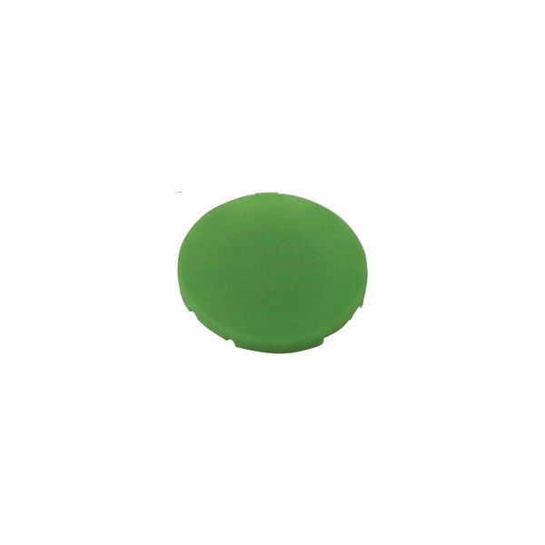M22-XD-G Button plate, flat green, blank image 2