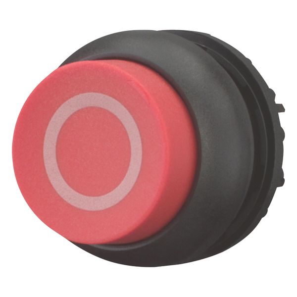 M22S-DH-R-X0 Pushbutton, RMQ-Titan, Extended, momentary, red, inscribed, Bezel: black image 3