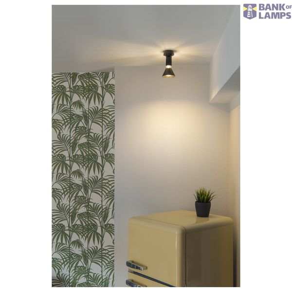 FITU, ceiling light, A60, black, with R2 canopy image 3