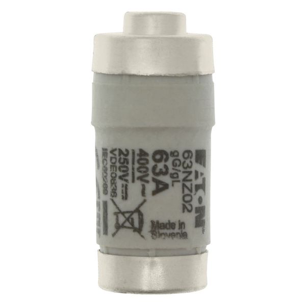 Fuse-link, LV, 63 A, AC 400 V, D02, gL/gG, IEC, time-delay image 21