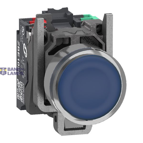 Metal ill PB 24V blue 1NO + 1NC Push-in image 1