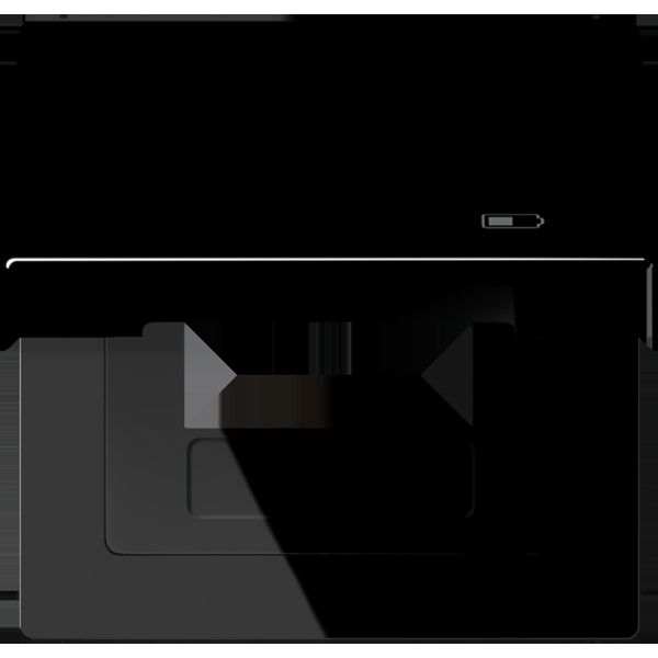 Hinged lid USB with centre plate LS990BFKLUSBSW image 2