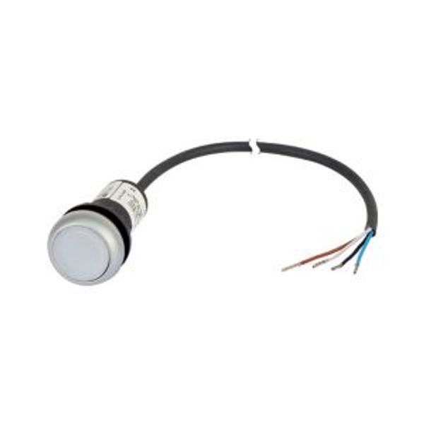 C22-DL-W-K10-24-P65 Illuminated pushbutton actuator, Flat, momentary, 1 N/O, Cable (black) with non-terminated end, 4 pole, 3.5 m, LED white, White, Blank, 24 V AC/DC, Be image 2