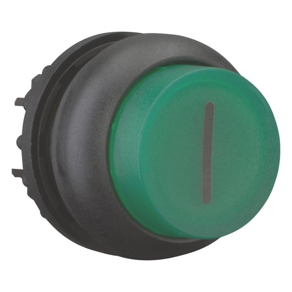 M22S-DLH-G-X1 Illuminated pushbutton actuator, RMQ-Titan, Extended, momentary, green, inscribed, Bezel: black image 8