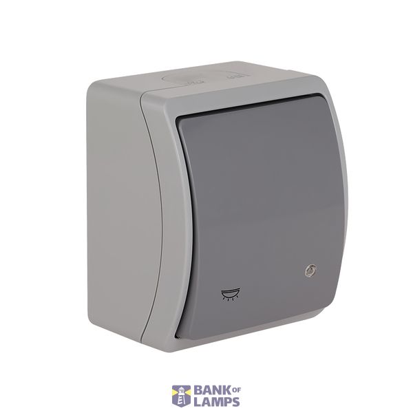 VW-6L Koala Single Push Button - Light with illumination surface mounted IP44 gray/graphite VW 156-58 image 1