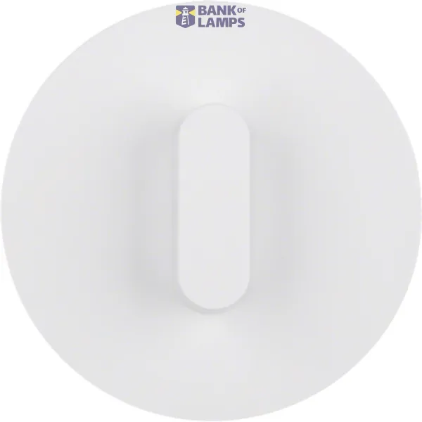 Cover plate with toggle R.Classic polar white, glossy image 1