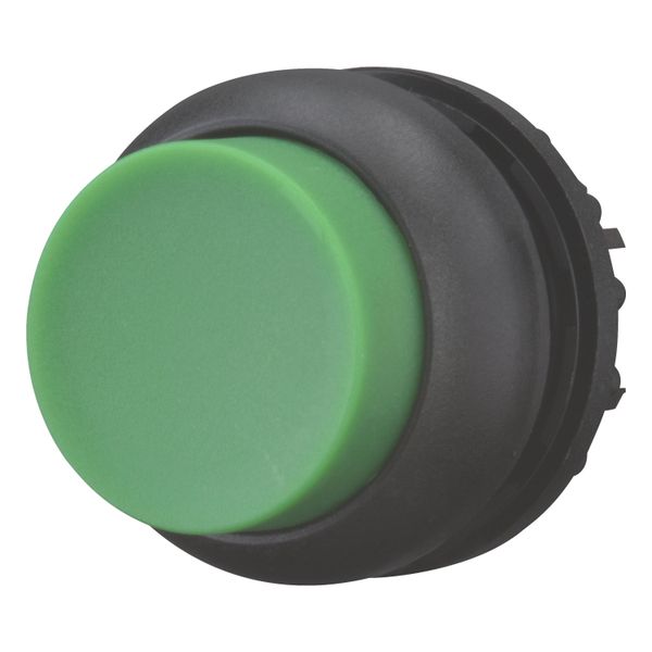 M22S-DH-G Pushbutton, RMQ-Titan, Extended, momentary, green, Blank, Bezel: black image 3
