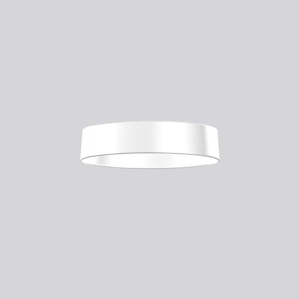 Shade D 260 H 60, Fabric Chintz colour: white image 1