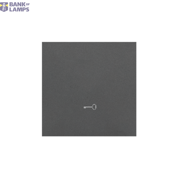 Single button with pictogram for switches and push buttons, graphite mat image 1