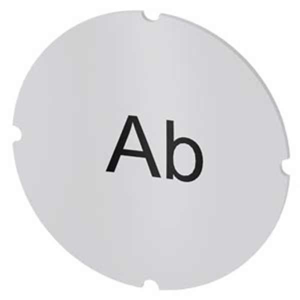 Inscription plate for illuminated pushbutton, round, milky, labeling: Ab image 1