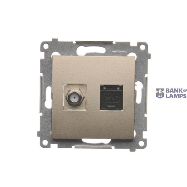 Aerial socket type "F" + computer socket RJ45 cat.6, Gold matt, metalic image 1