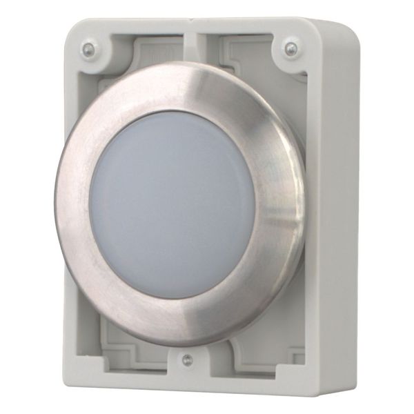 M30I-FL-W Indicator light, RMQ-Titan, flat, white, Front ring stainless steel image 6