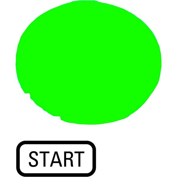M22-XDL-G-GB1 Button lens, flat green, START image 2