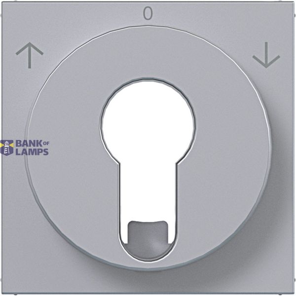 Centr.pl. blind switch/pulse driver DIN cylinder arrow symbol A.x/C.x titanium image 1