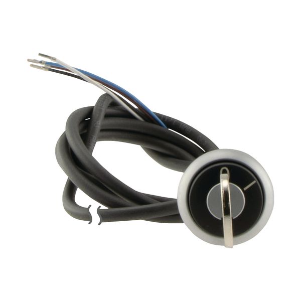 C22-WS-MS1-K11-P62 Key-operated actuator, RMQ compact solution, momentary, 1 NC, 1 N/O, Cable (black) with non-terminated end, 4 pole, 1 m, 2 positions, MS1, Bezel: tita image 14
