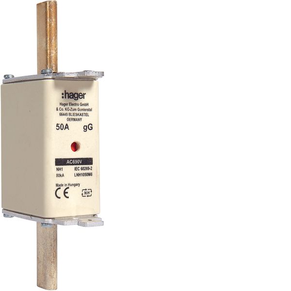 NH fuse NH1 gG 690V 50A with twin indicator and live gripping lug image 1