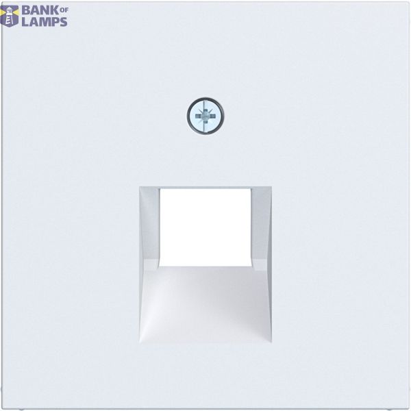 Central PL data socket 1-way, angled output, A.x/C.x light white matte image 1