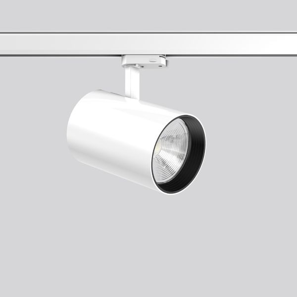 DEECOS S maxi, 35 W, 3500 lm, 930, white, on/off Surface mounted proje image 1