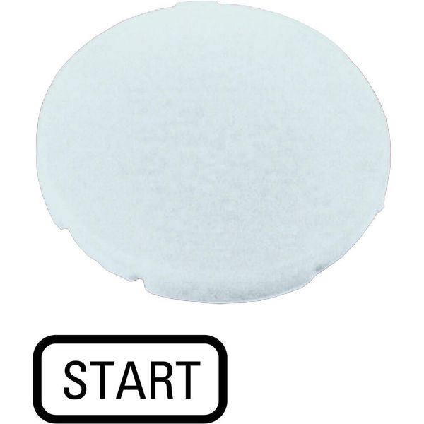 M22-XD-W-GB1 Button plate, flat white, START image 4