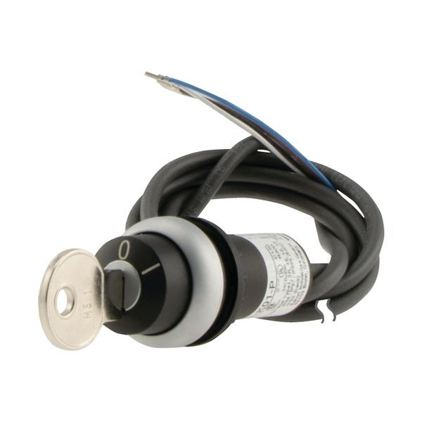 C22-WRS-MS1-K02-P65 Key-operated actuator, RMQ compact solution, maintained, 2 NC, Cable (black) with non-terminated end, 4 pole, 3.5 m, 2 positions, MS1, Bezel: titanium image 6