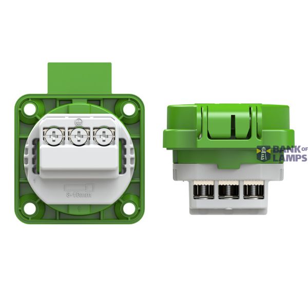 MD25 image 2