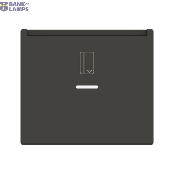 Cover card switch w/ lens image 1