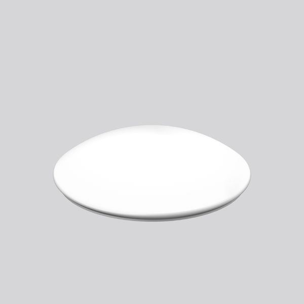 Replacement cover, plastic glass D 620 H 150 colour: white image 2