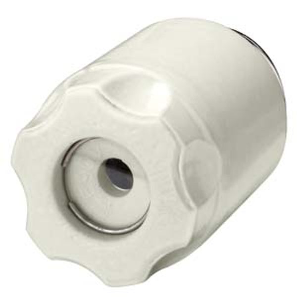 DIAZED screw cap DIII 63 A 690V AC 600V DC ceramic image 1