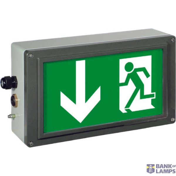 Ex-escape sign luminaires EX-LITE V-CG-S for emergency light function for zone 1/21, Pictogram: DIN 4844, Arrow: 6 Clock image 2
