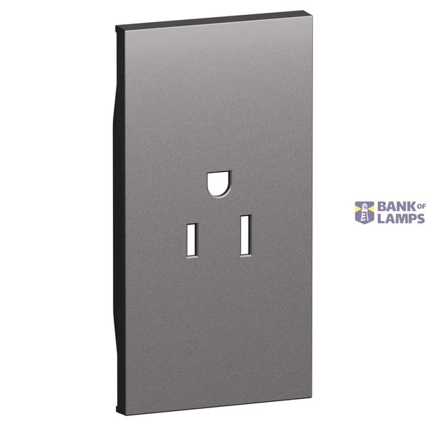L.NOW - SOCKET COVER US 2P+T 2M STEEL image 1