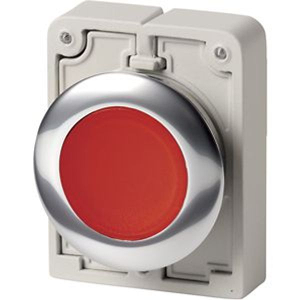 M30C-FDRL-R Illuminated pushbutton actuator, RMQ-Titan, Flat, maintained, red, Blank, Metal bezel image 8